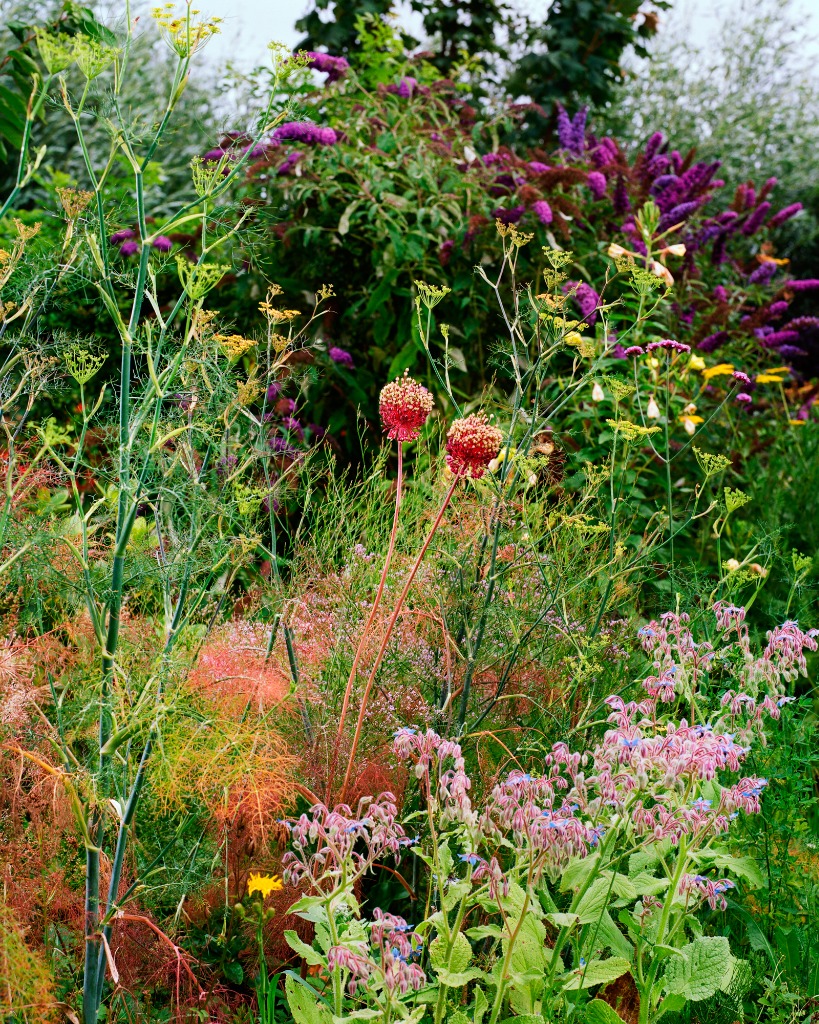 Bar Jasmijn sfeervolle tuin en bloemen achtergrond